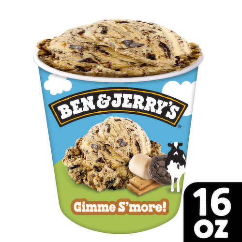 Ben & Jerry's Ice Cream Pint