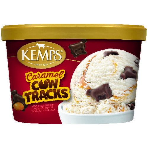 Kemps Caramel Cow Tracks Ice Cream