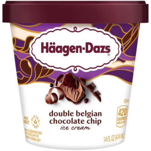 Haagen Dazs Double Belgian Chocolate Chip Ice Cream