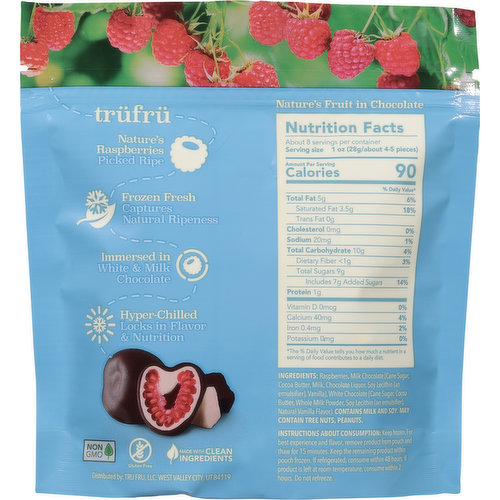 Chocolate Raspberry Smoothie Cubes – NuBest Nutrition