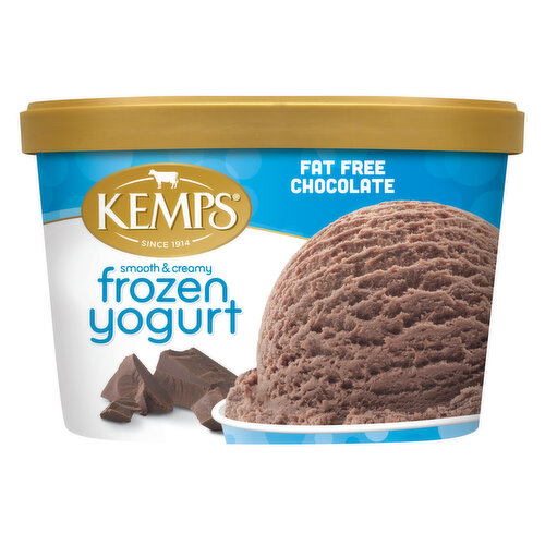 Kemps Fat Free Chocolate Frozen Yogurt