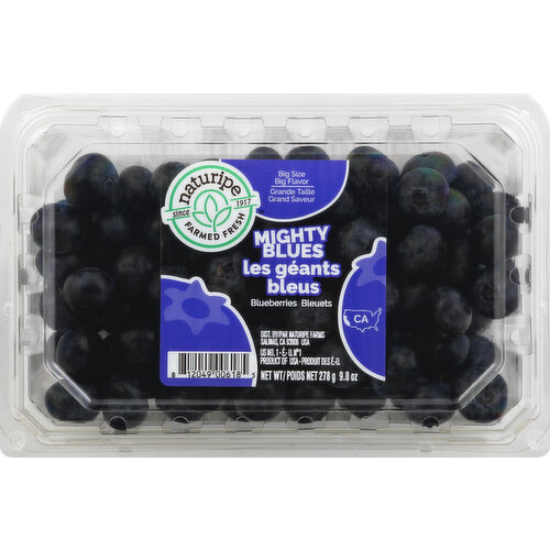 Naturipe Blueberries, Mighty Blues