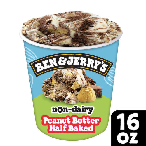 Ben & Jerry's Non-Dairy Peanut Butter Half Baked ® Frozen Dessert
