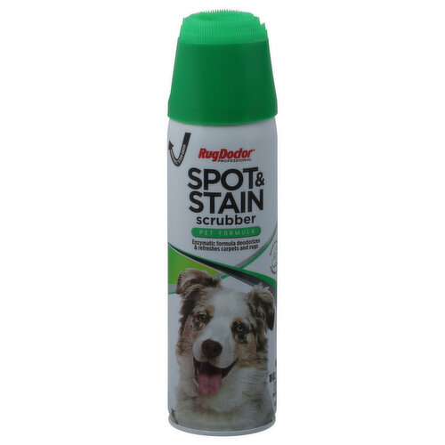 Stain brush, STAINS & ODORS