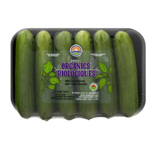 Organic Mini Seedless Cucumbers, 6 each