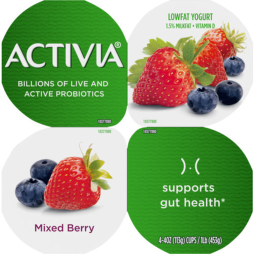 Help Support Your Gut Health with Probiotic Yogurt with Less Sugar