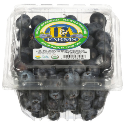 H&A Farms Blueberries, Organic