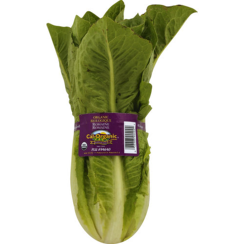 Lettuce, Romaine, Organic