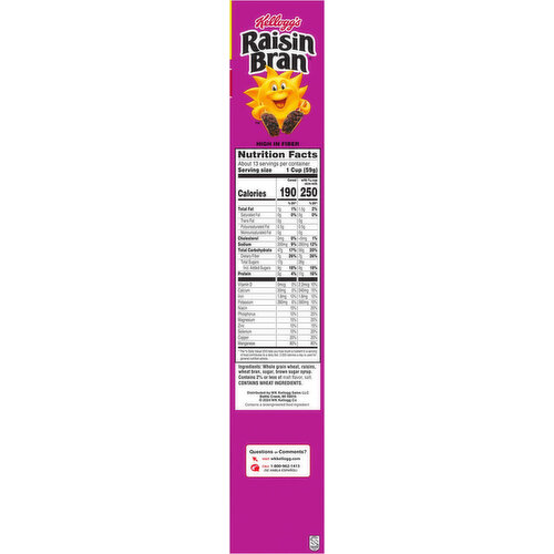 Raisin Bran Cereal, Giant Size