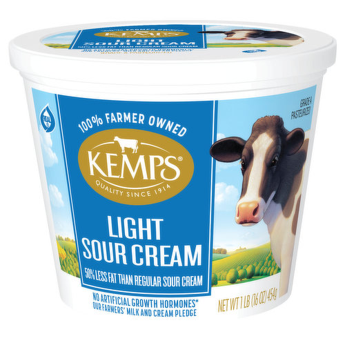 Kemps Light Sour Cream