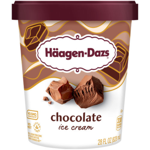 Haagen Dazs Chocolate Ice Cream