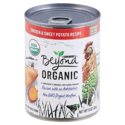 Beyond Dog Food, Organic, Chicken & Sweet Potato Recipe