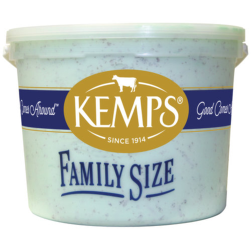 Kemps Ice Cream, Reduced Fat, Mint Chocolate Chip, Family Size