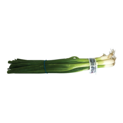 Fresh Green Onions