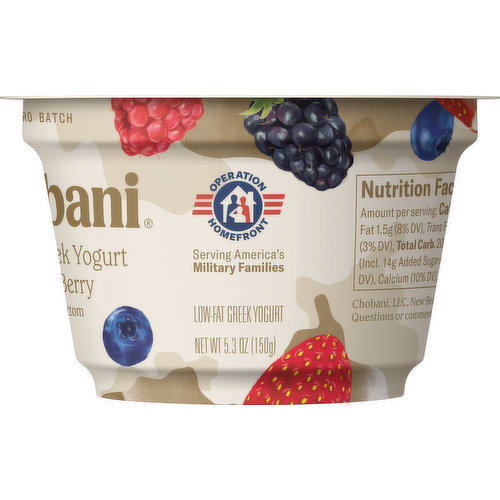 Chobani Blueberry on the Bottom Nonfat Greek Yogurt - 5.3oz