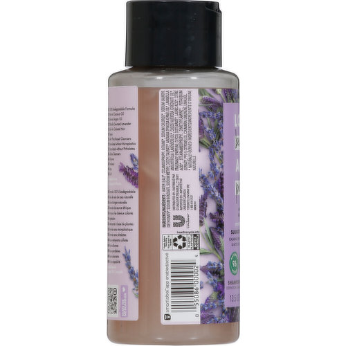 Love Beauty & Planet - Love Beauty & Planet, Shampoo, Argan Oil & Lavender  (13.5 oz), Shop