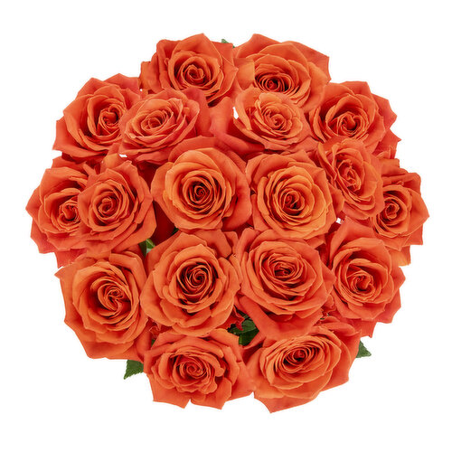 All flowers⭐️新品レア6枚set⭐️限定ROSE  チューリップ　近沢 予約商品/9月中旬発送予定】XSサイズあり【Glossy/グロッシー