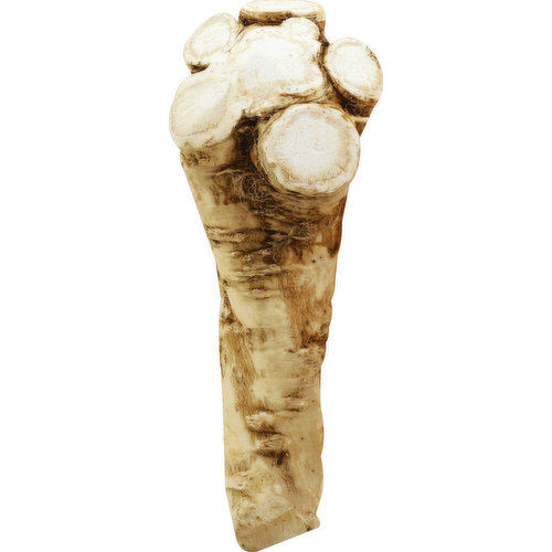 Horseradish Root
