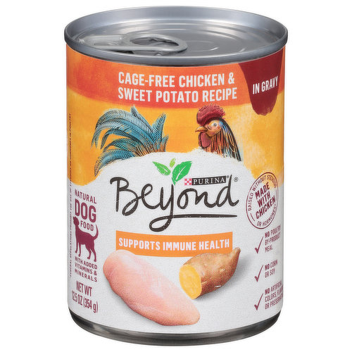 Purina Beyond Dog Food, Natural, Cage-Free Chicken & Sweet Potato Recipe, in Gravy