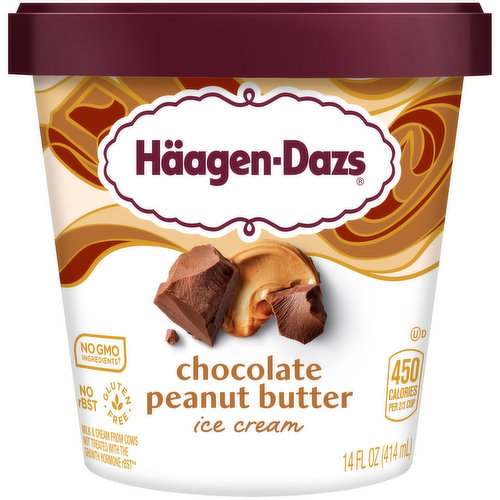 Haagen Dazs Chocolate Peanut Butter Ice Cream