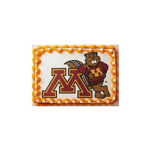 Cub Minnesota Gophers Cake