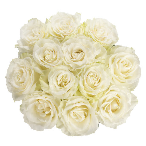 Cub Dozen White Roses