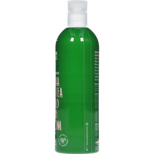 その他 MATCHA Matcha | JJ Market – Page 2 – Wakokoro Tea (formerly JJ Market)