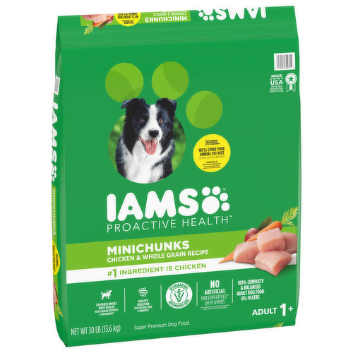 Iams puppy food near me top