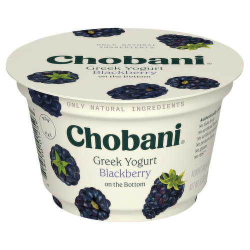 Chobani Yogurt, Nonfat, Greek, Blackberry