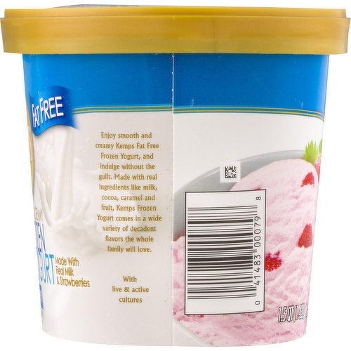 Kemps, No Sugar Added, FatFree, Vanilla Frozen Yogurt, Qt, 58 OFF