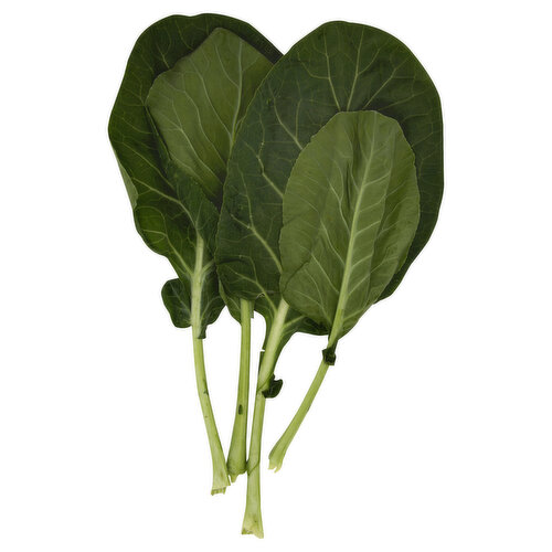 Lettuce, Bibb Flat Round