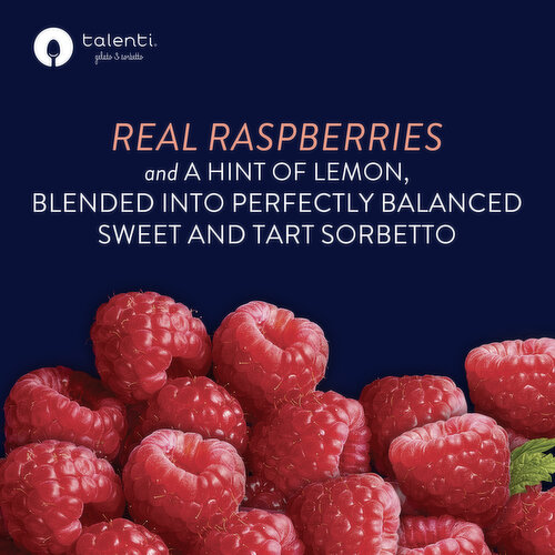 Talenti Sorbetto Roman Raspberry