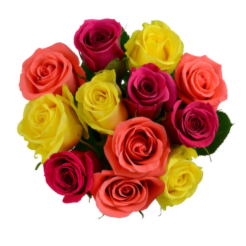 Cub Floral Rainbow Roses