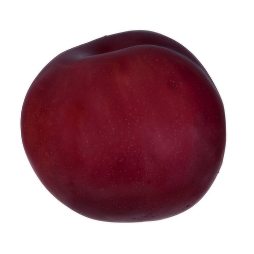 Produce Black Plum, Large