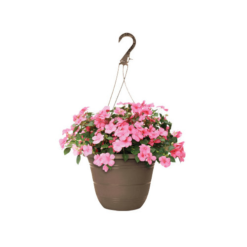 Cub Floral 10" Select Hanging Basket