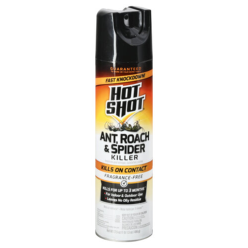 Hot Shot Ant, Roach & Spider Killer, Fragrance-Free