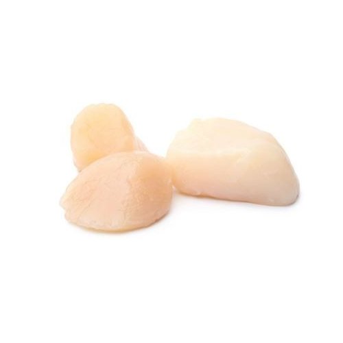 Scallops