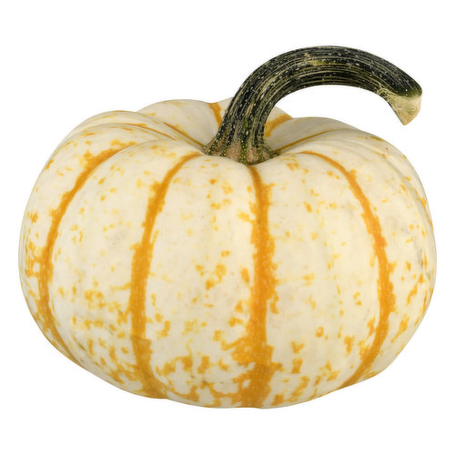 Bay Baby Produce Pumpkin, Tiger Stripe