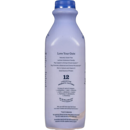 Lifeway Kefir, Blueberry