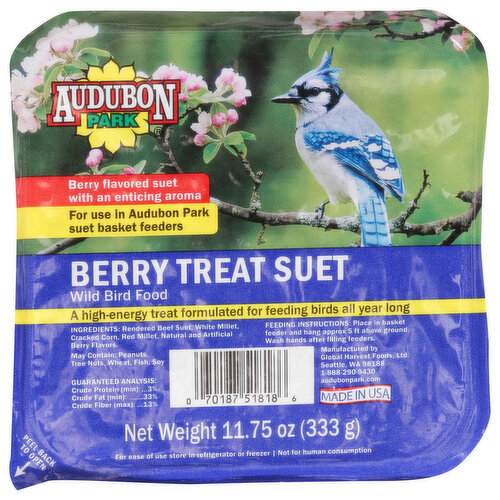 Audubon Park Wild Bird Food, Berry Treat Suet