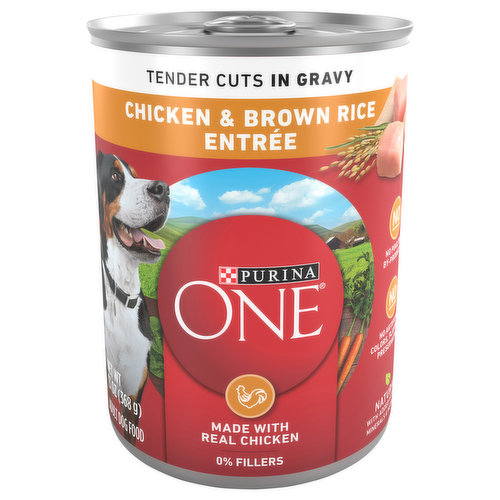 Purina One Purina ONE Tender Cuts in Wet Dog Food Gravy Chicken and Brown Rice Entree