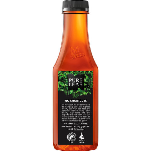 【BITTER CELLS】 Tender Argyle Tea / 追跡付 0001200021357