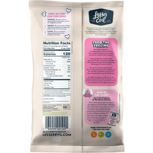 LesserEvil Himalayan Pink Salt Popcorn