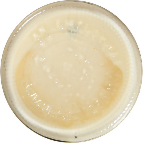 Litehouse Dressing & Dip, Blue Cheese, Lite