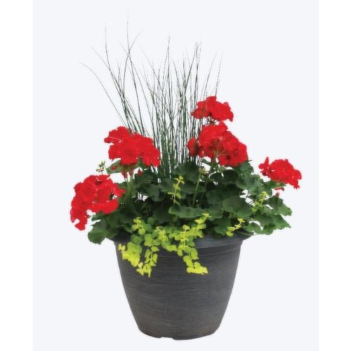 Cub Floral 13" Deluxe Combo Patio Planter