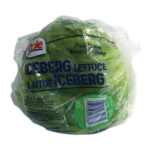 Fresh Iceburg Lettuce