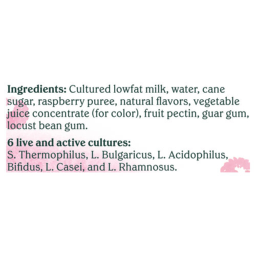 Chobani Yogurt, Low-Fat, Greek, Willamette Raspberry