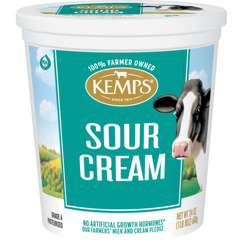 Kemps Sour Cream