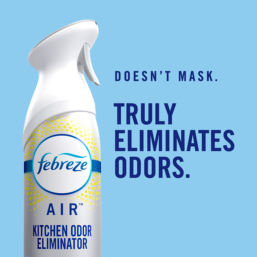 Febreze Air Freshener Spray Winter