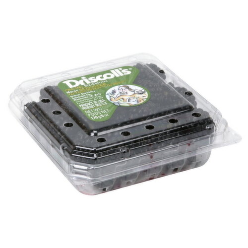 Driscoll's Organic Blackberries